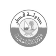 Qatar General Directorate of Customs