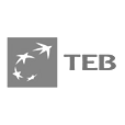 TEB 